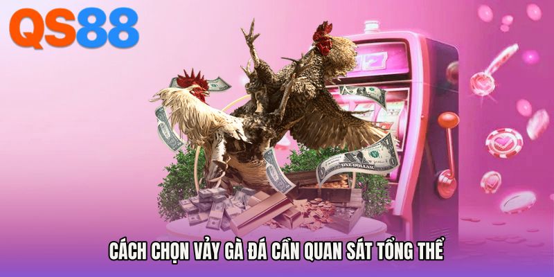 Cách chọn vảy gà đá cần quan sát tổng thể