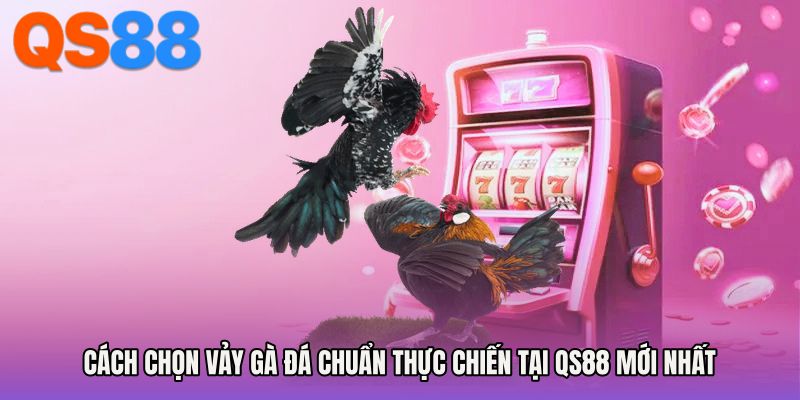 Cách Chọn Vảy Gà Đá Chuẩn Thực Chiến Tại QS88 Mới Nhất