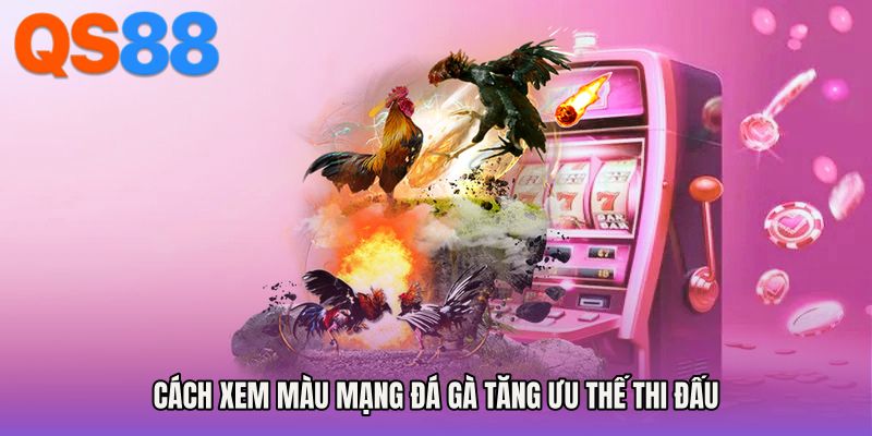 Cách xem màu mạng đá gà tăng ưu thế thi đấu