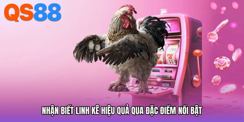 Nhận biết linh kê hiệu quả qua đặc điểm nổi bật