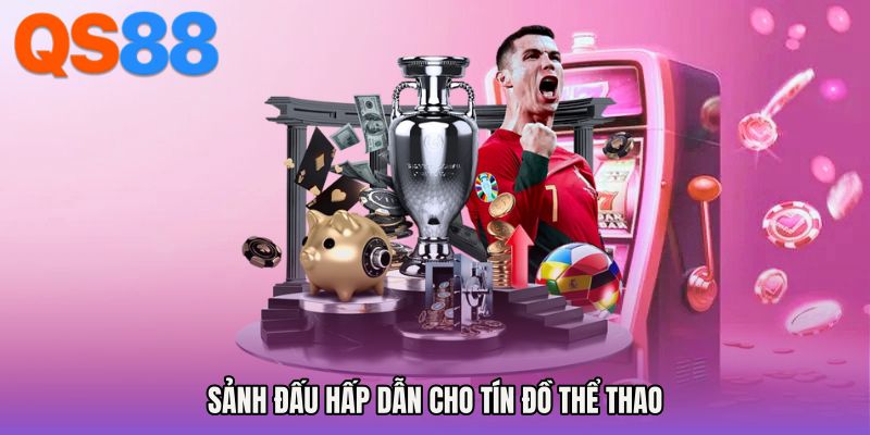 Sảnh đấu hấp dẫn cho tín đồ thể thao
